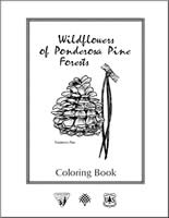 Wildflowers of the Ponderosa Pine Forests Cover
