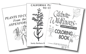 Coloring Books Covers