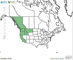 Lilium columbianum range map.