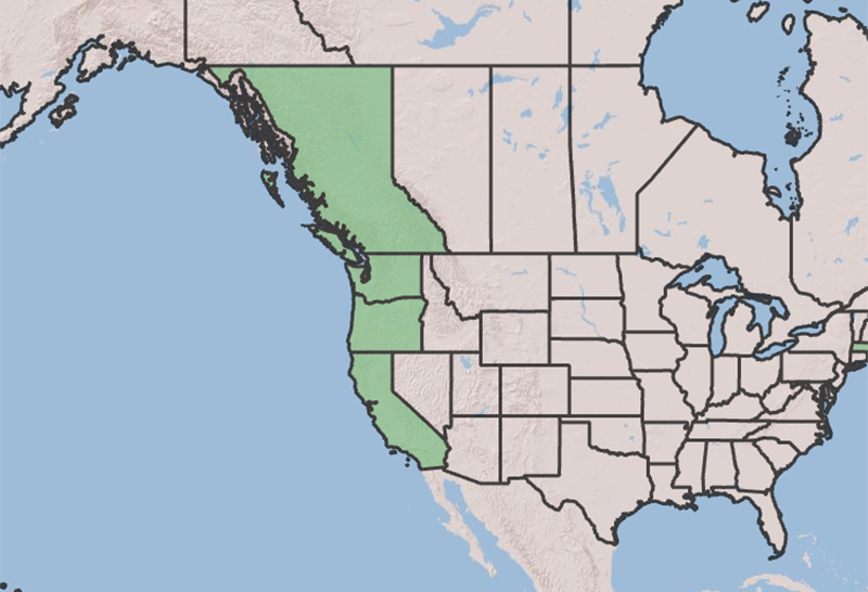 Map of the United States and Canada showing states. States are colored green where the species may be found.