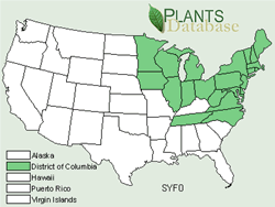 Map of the United States showing states colored green where eastern skunk cabbage may be found.
