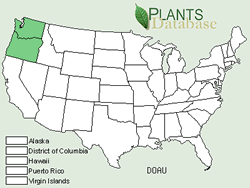 Map of the North America showing areas colored green where the species may be found.