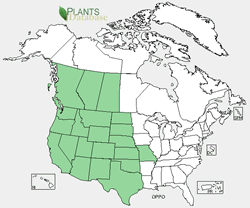 Opuntia polyacantha range map.