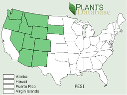 Map of the United States showing states. States are colored green where the Simpson's hedgehog cactus may be found.