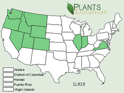 Map of the United States showing states. States are colored green where Streambank Wild Hollyhock may be found.