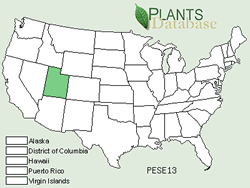 Map of the United States showing states. States are colored green where the species may be found.