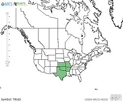 USDA Plants distribution map for the species.