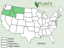 Map of the United States showing states. States are colored green where the Payette Beardtongue may be found.