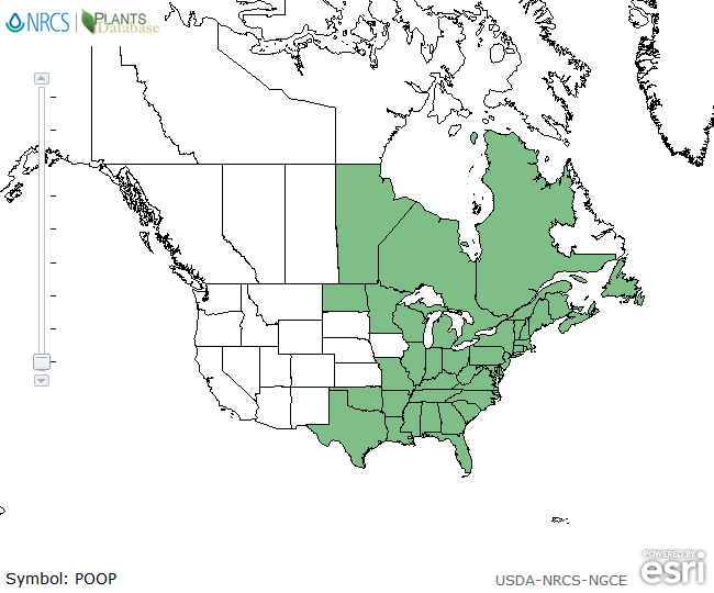 Pogonia ophioglossoides range map.