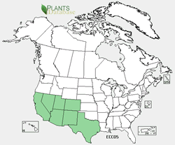 USDA Plants distribution map for the species.