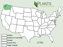 Map of the United States showing states. States are colored green where Tweedy’s lewisia may be found.