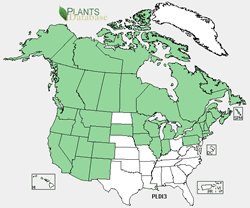 Platanthera dilatata range map.