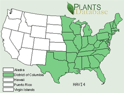 Map of the United States showing states. States are colored green where American witchhazel may be found.