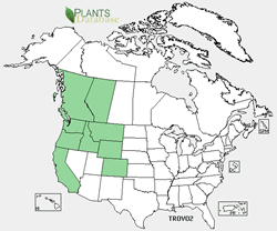 Map of the North America showing areas colored green where the species may be found.