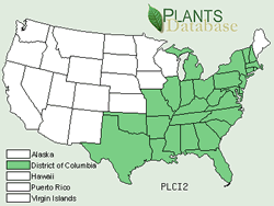 Map of the United States showing states. States are colored green where the Yellow Fringed Orchid may be found.