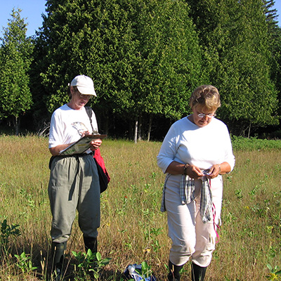 Picture of two women counting and recording the number of monarch eggs and larvae on milkweed.