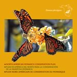 North American Monarch Conservation Plan cover
