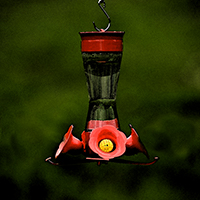 Hummingbird feeder.