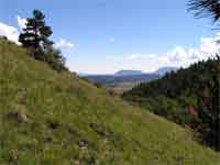the montane meadows of Mosca Pass offering a view of the Sangre de Cristo Mountains.