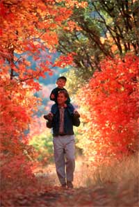 man wth a young boy on his shoulders walking along the Nebo Loop enjoying the Fall colors.
