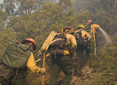 A wildland fire engine crew works during the Wallow Fire in Arizona in 2011. (US Forest Service photo/Kari Greer)